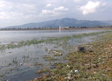 Avanza el proyecto de restauración ecológica en la región de Tula y Valle del Mezquital