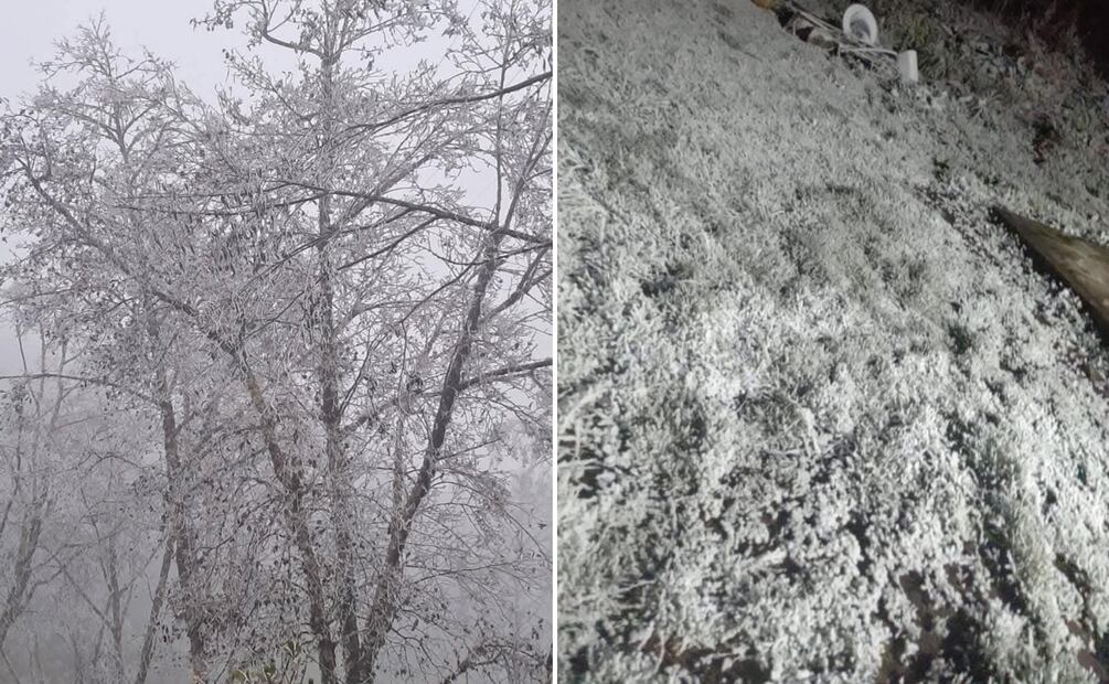 Aguanieve y frío extremo transforman la Sierra Alta de Hidalgo | Fotos: Especiales