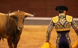 Plaza Vicente Segura tendrá cuatro corridas de toros durante la Feria San Francisco Pachuca