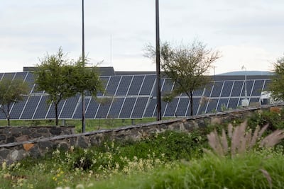 División entre ejidatarios por renta de tierras a parques solares en Hidalgo