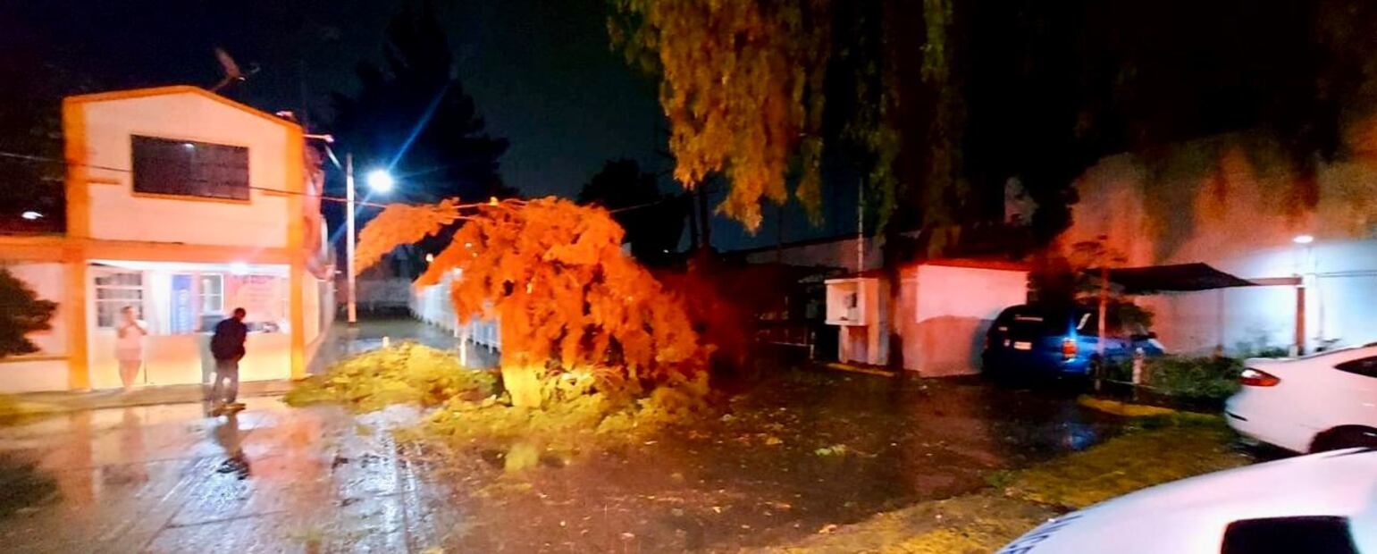 Fuertes rachas de viento y lluvia dejan afectaciones en viviendas | Foto: Especial