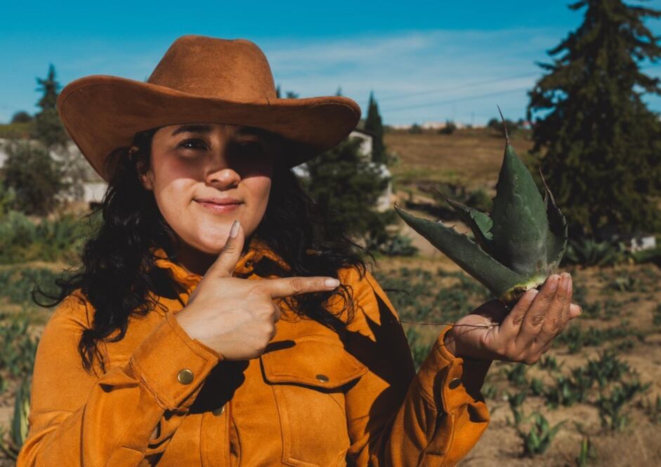 Extenderá Tulancingo registro de productores del Maguey I Foto cortesía