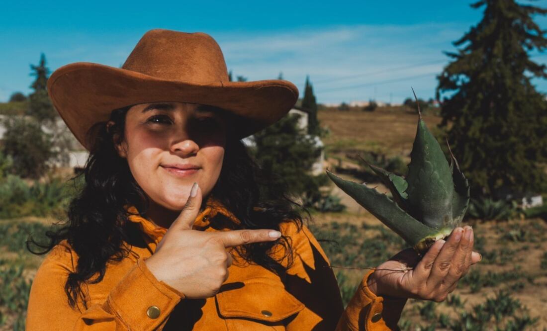 Extenderá Tulancingo registro de productores del Maguey I Foto cortesía