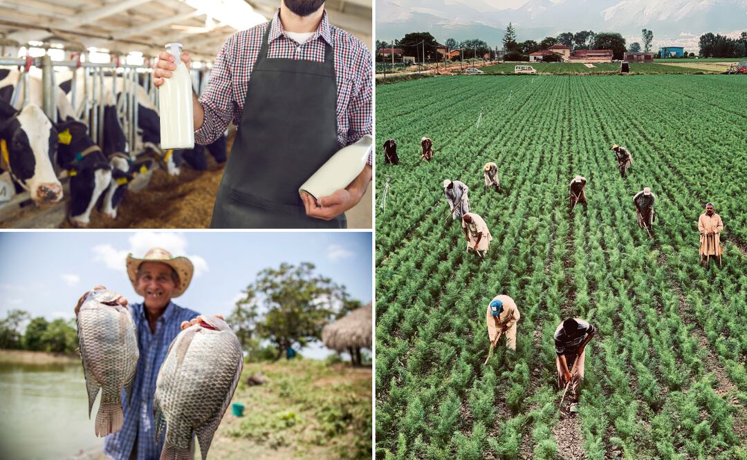 La pobreza laboral en Hidalgo fue de 43.2 % de en abril, mayo y junio | Fotos: Pexels | studioroman