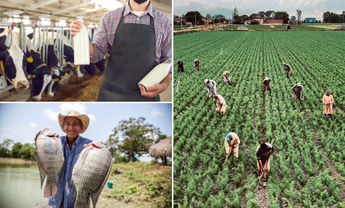 La pobreza laboral en Hidalgo fue de 43.2 % de en abril, mayo y junio | Fotos: Pexels | studioroman
