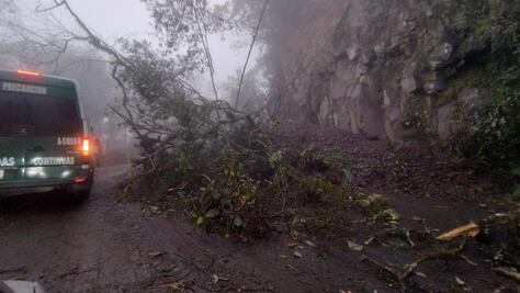 Derrumbe bloquea parcialmente la carretera México-Tampico en Tlanchinol