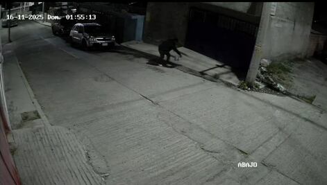 Incendio de automóvil en Ixmiquilpan deja daños materiales