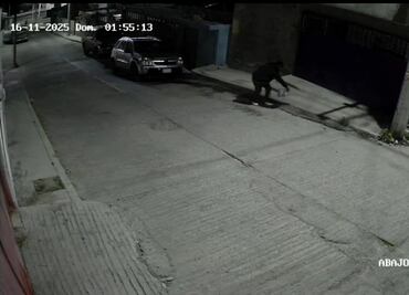 Incendio de automóvil en Ixmiquilpan deja daños materiales