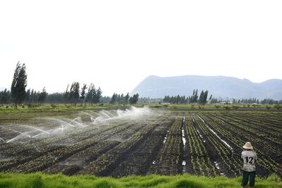 Costará 12 mil millones de pesos la tecnificación de distritos de riego del Mezquital