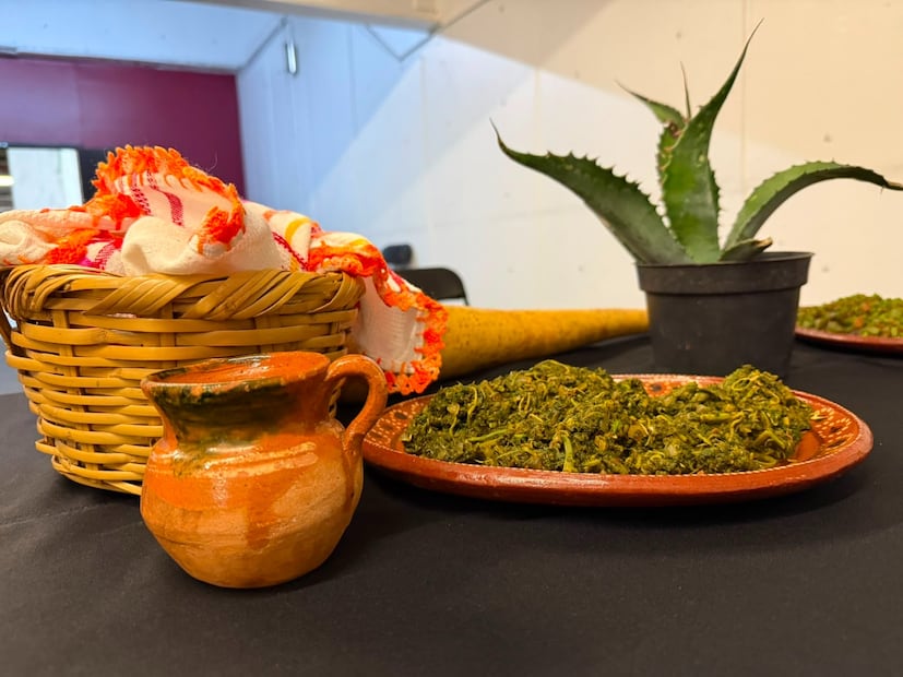 Sofía Martínez, la cocinera que busca preservar el sabor de Chilcuautla | Foto: Marco Carrillo