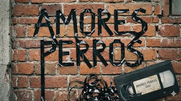 Cine retro dominó la pantalla en 2025: "Interestelar" y "Amores perros", las cintas más vistas