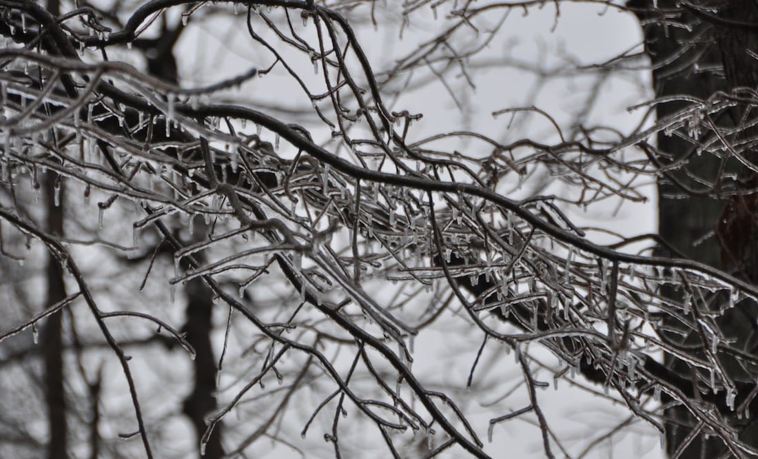 Hidalgo se encuentra entre las entidades donde se registrará el descenso de temperaturas | Foto: Pixabay