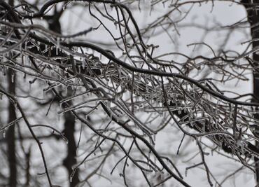 Tormenta invernal provoca descenso de temperaturas en Hidalgo y el país