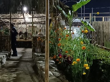 Huejutla levanta el Altar de Muertos más grande de México; hoteles al 100% por la alta afluencia