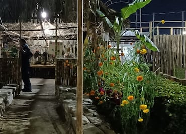 Huejutla levanta el Altar de Muertos más grande de México; hoteles al 100% por la alta afluencia