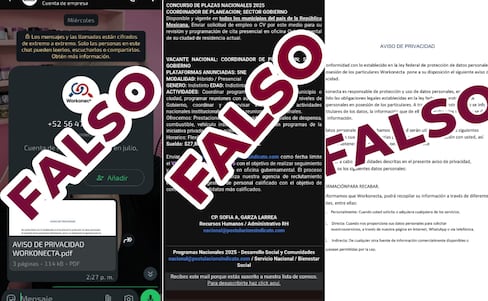 STPSH alerta por falsas ofertas de empleo en el extranjero dirigidas a jornaleros