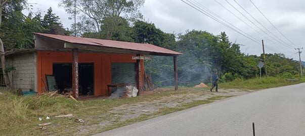 Deforestación y conflictos en la Huasteca; artesanos exigen permisos, pero sin planes de reforestación