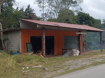 Deforestación y conflictos en la Huasteca; artesanos exigen permisos, pero sin planes de reforestación