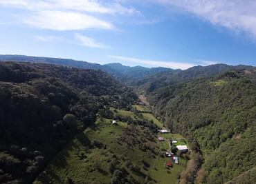 En estado de indefensión, dueños de bosques ante tala clandestina