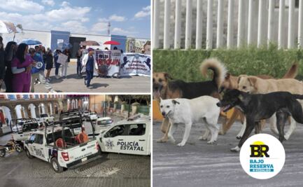 Bajo Reserva Hidalgo 17/02/25