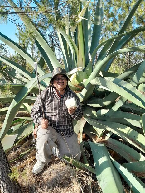 ¡Preservando la Tradición! La Familia detrás de "Curados Corona" y su pasión por el pulque | Foto: Especial