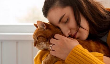 ¿Qué significa que un gato te muerda mientras lo acaricias?; conoce la razón