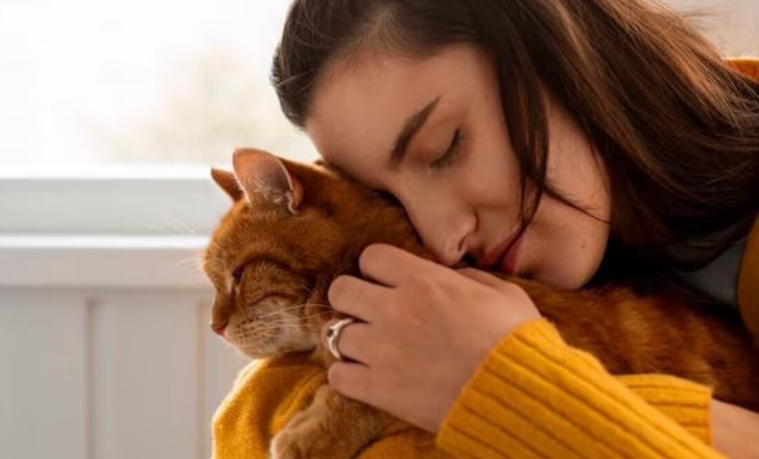 El lenguaje de los gatos. Fuente: Freepik.