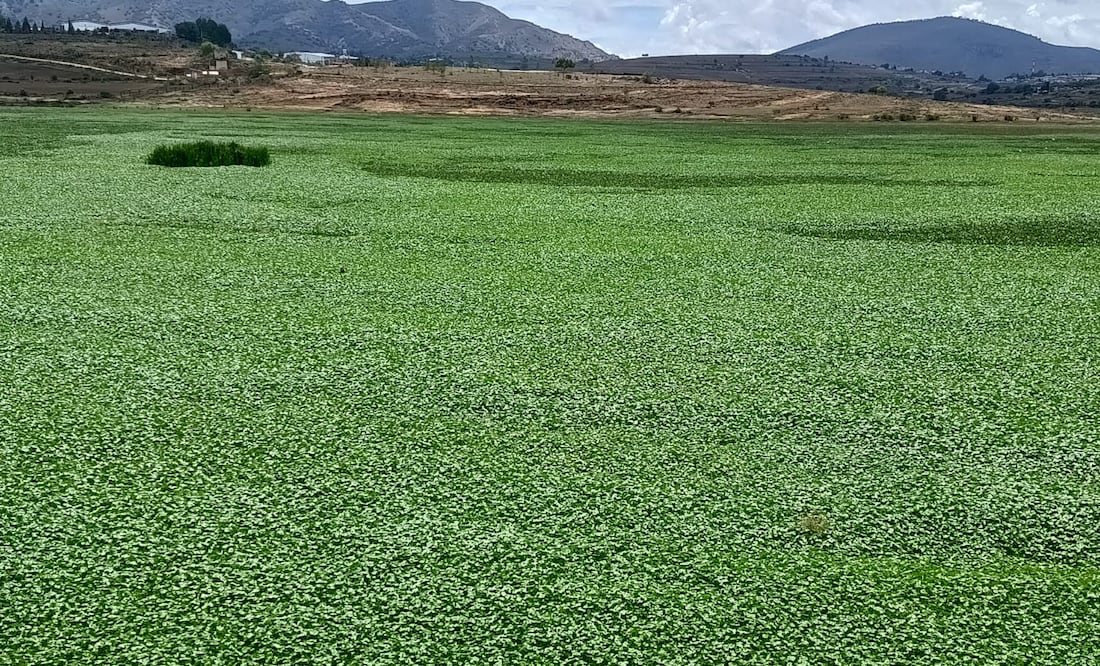 Presa la Esperanza Foto: Grisel Lira