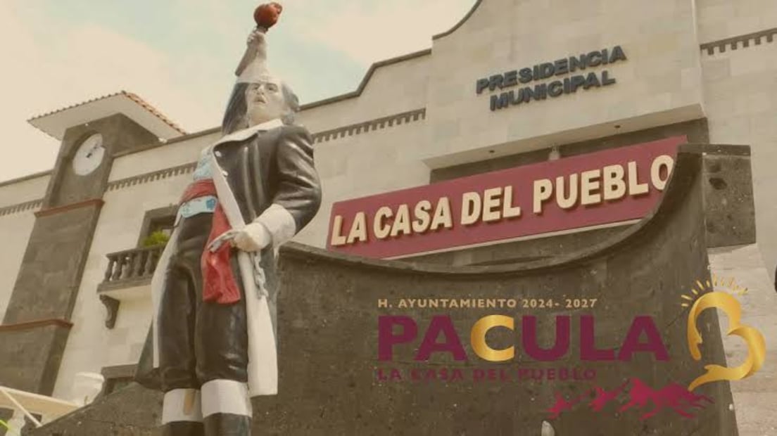 Pacula
