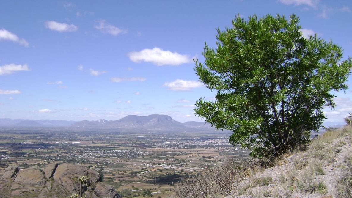 La constancia de residencia es uno de los documentos que se solicitan para acreditarse como candidatos, es especial cuando se busca postularse como integrante de una comunidad indígena o de un pueblo originario | Foto: Wikimedia Commons