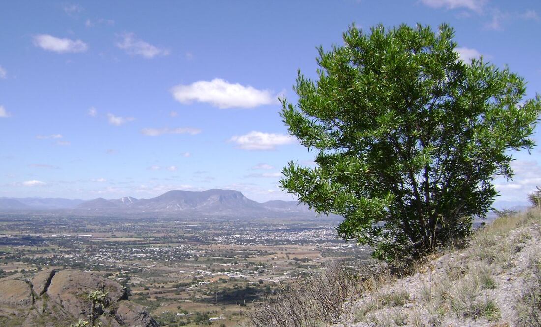 La constancia de residencia es uno de los documentos que se solicitan para acreditarse como candidatos, es especial cuando se busca postularse como integrante de una comunidad indígena o de un pueblo originario | Foto: Wikimedia Commons