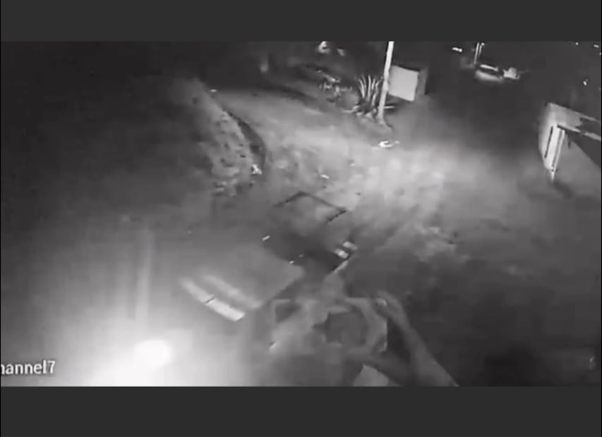 Activista denuncia a Guardia Nacional por disparar a perrito callejero en San Agustín Tlaxiaca | Captura de video