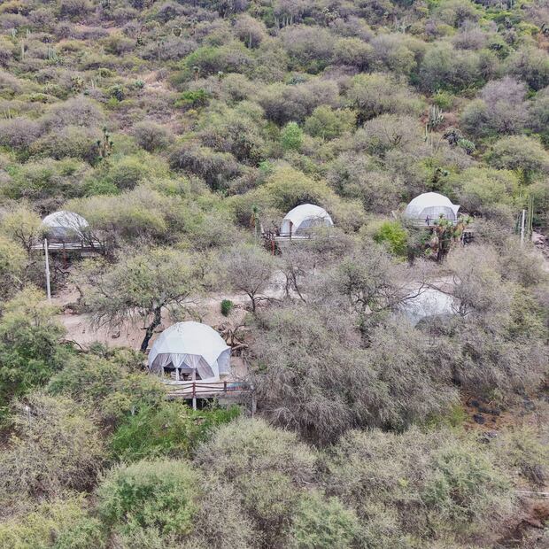 Glamping con aguas termales, una escapada diferente en el Valle del Mezquital | Facebook: MÄKA DEHE Glamping