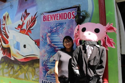 Estefanía Pérez, la pequeña que protege al ajolote desde el único ajolotario de Hidalgo