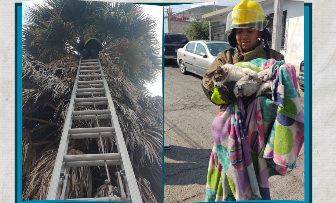 ¡Héroes con uniforme! Facebook: Dir. PC, Bomberos y GIR Pachuca
