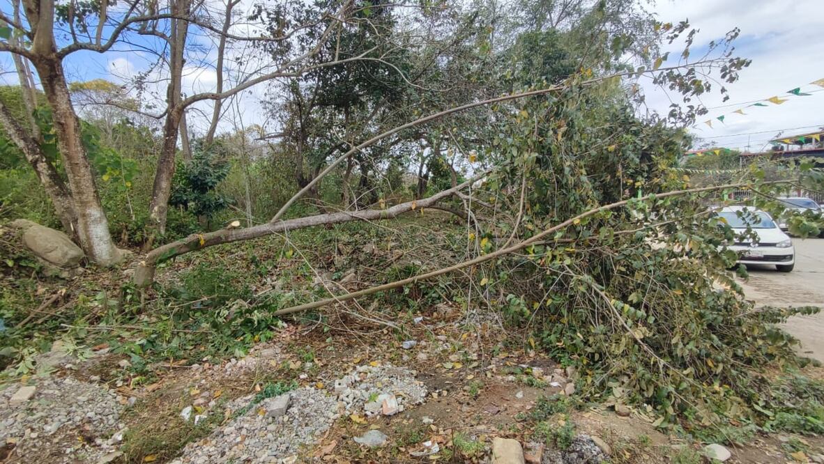 Vecinos del fraccionamiento San José solicitaron el apoyo de la Policía Municipal, luego que un grupo de ejidatarios, originarios de Teacal causaron destrozos en árboles y plantas