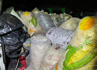 Detienen a dos personas por transporte ilegal de biznagas en Ixmiquilpan