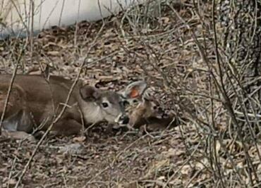 Parque Ecológico de El Puma, en Actopan abrirá sus puertas al público en julio.