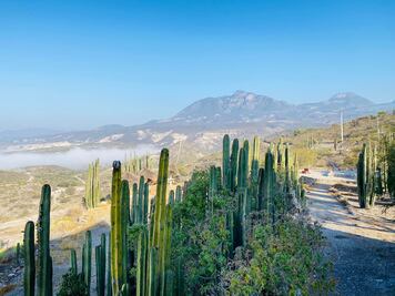 Koua, el parque de aventura que llena de adrenalina el Valle del Mezquital