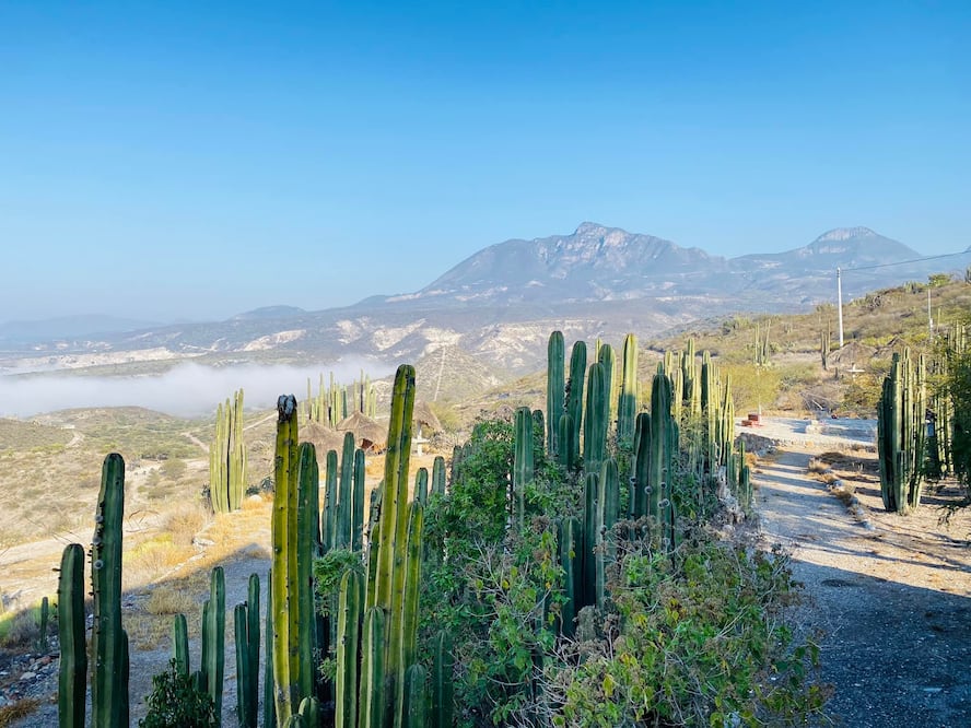A pocos minutos de Ixmiquilpan | Facebook: KOUA "Aventura Extrema"