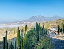 Koua, el parque de aventura que llena de adrenalina el Valle del Mezquital