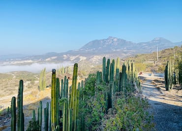 Koua, el parque de aventura que llena de adrenalina el Valle del Mezquital
