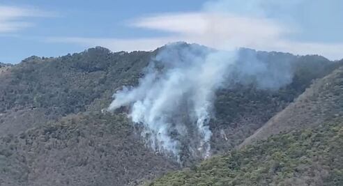 Incendio forestal fuera de control en Tlahuiltepa