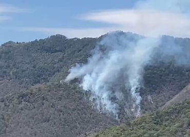 Incendio forestal fuera de control en Tlahuiltepa