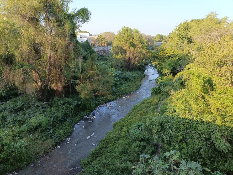 Foto: Francisco Bautista