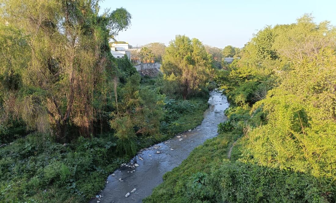 Foto: Francisco Bautista