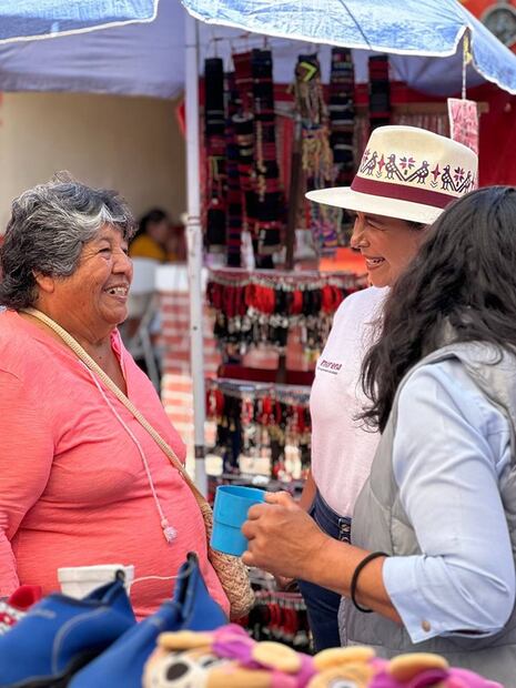Asegura que tiene ganas de trabajar, aunque no sea del distrito Tulancingo: Alma de la Vega | Facebook: Alma Lidia de la Vega