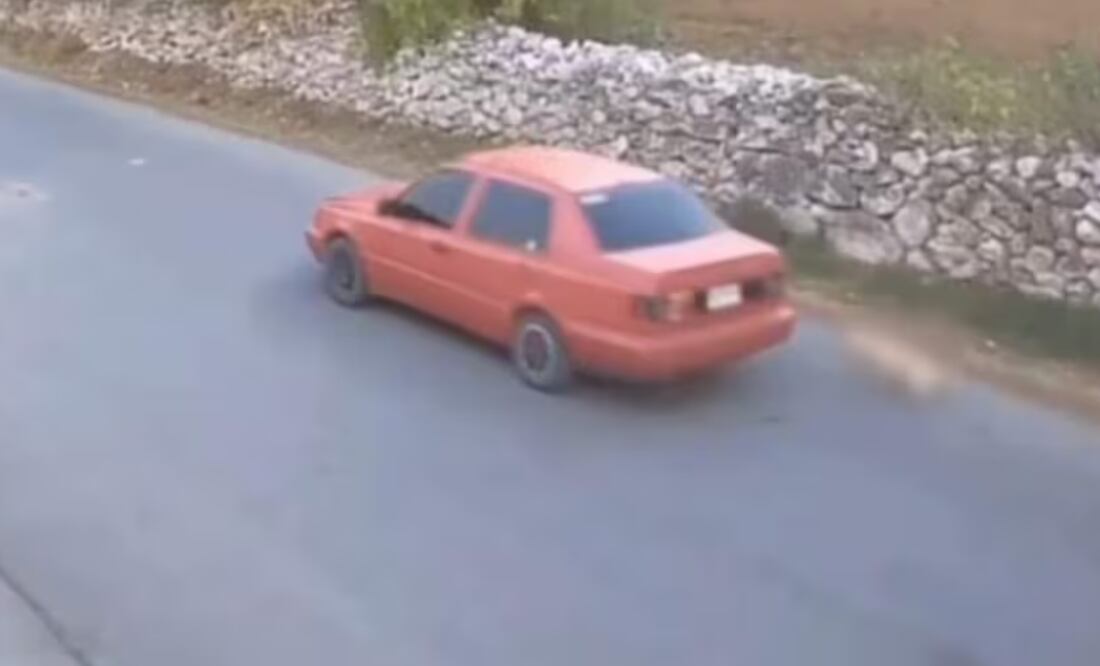 #JusticiaParaElPerrito | Captura de video