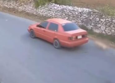 Indignación en Atitalaquia por maltrato animal; exigen justicia contra responsable