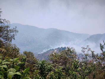 Pese a persistencia en reactivar incendios, se combatieron en su totalidad en Acaxochitlán